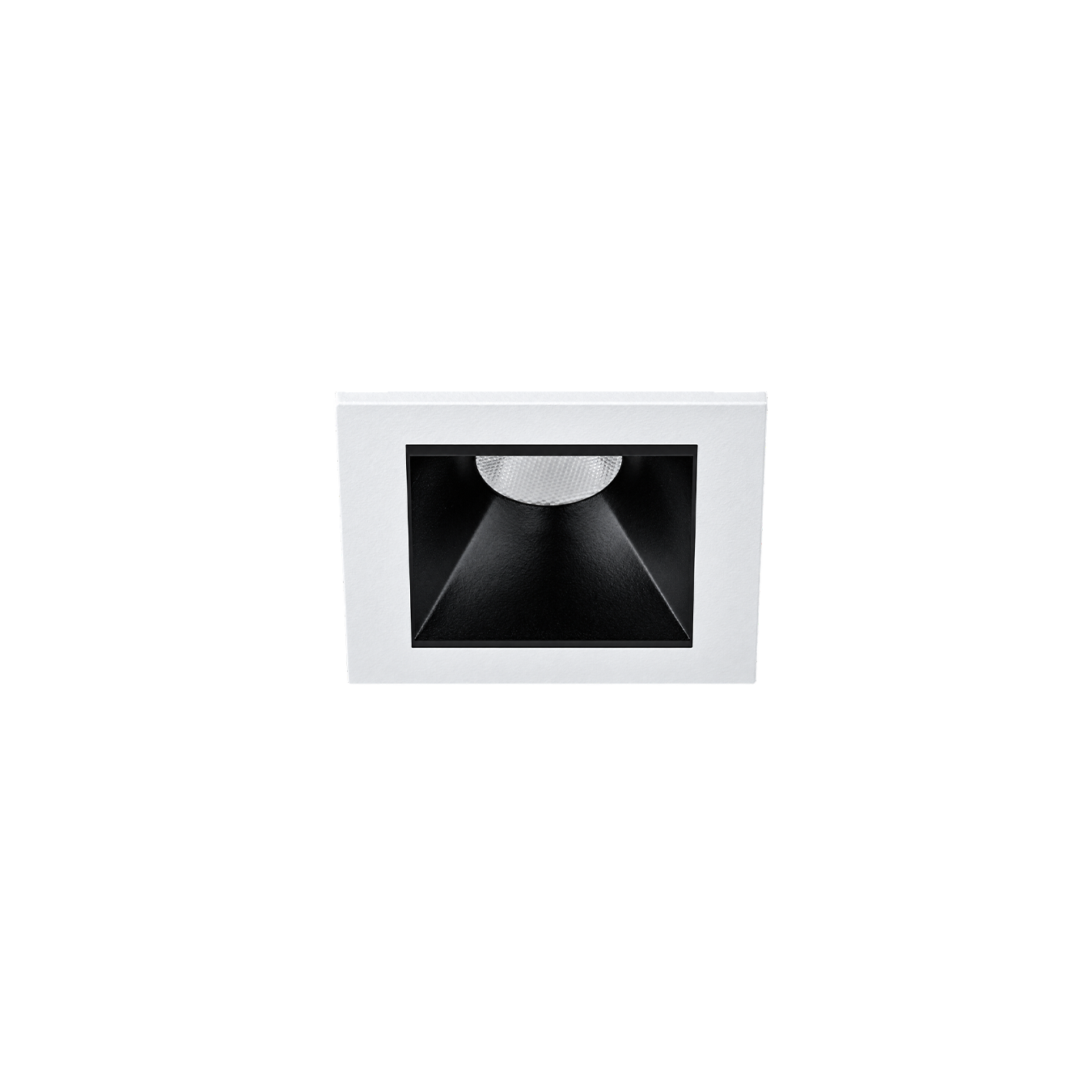 KAUS 1 LUZ